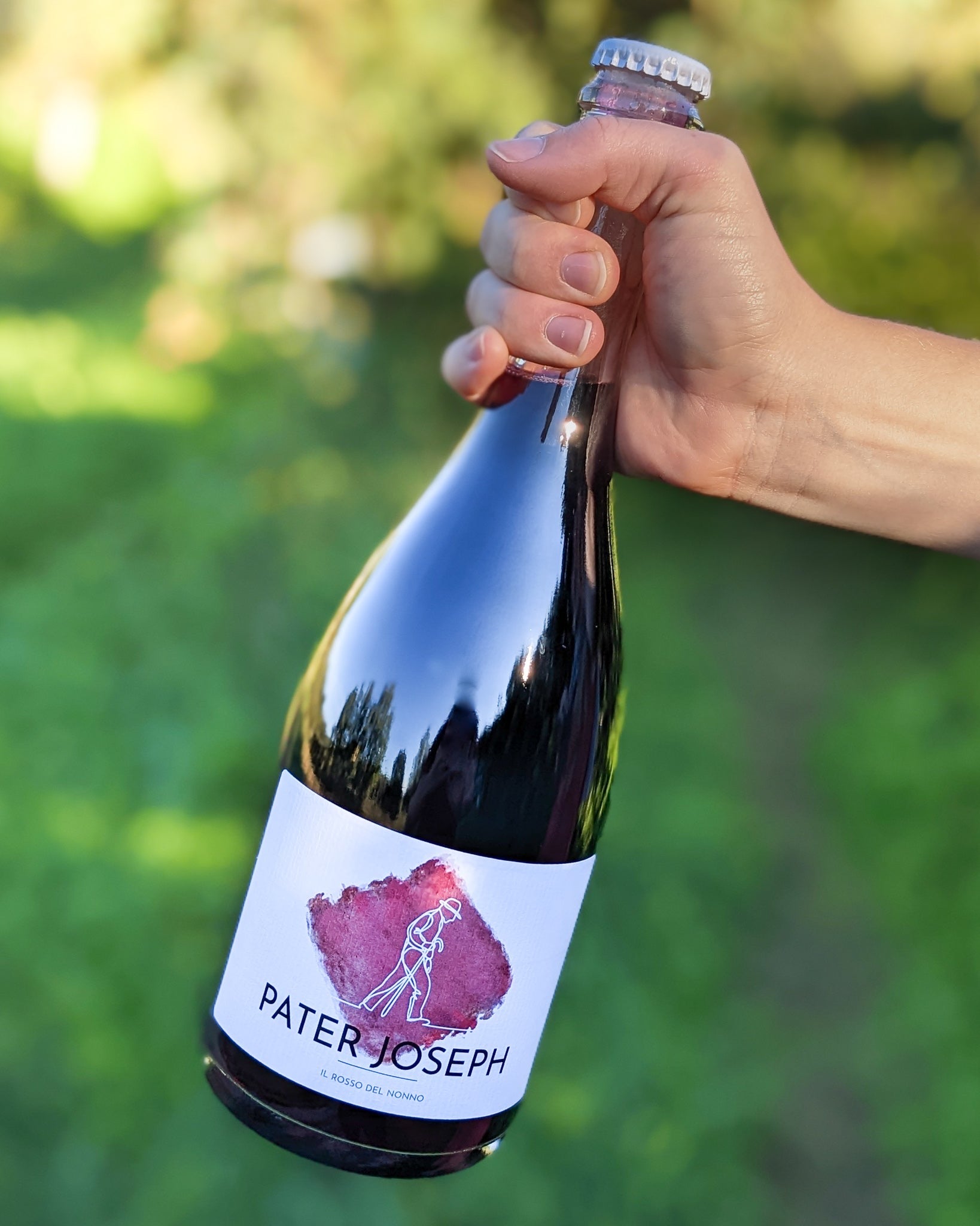Pater Joseph Pet nat red | Natural sparkling wine